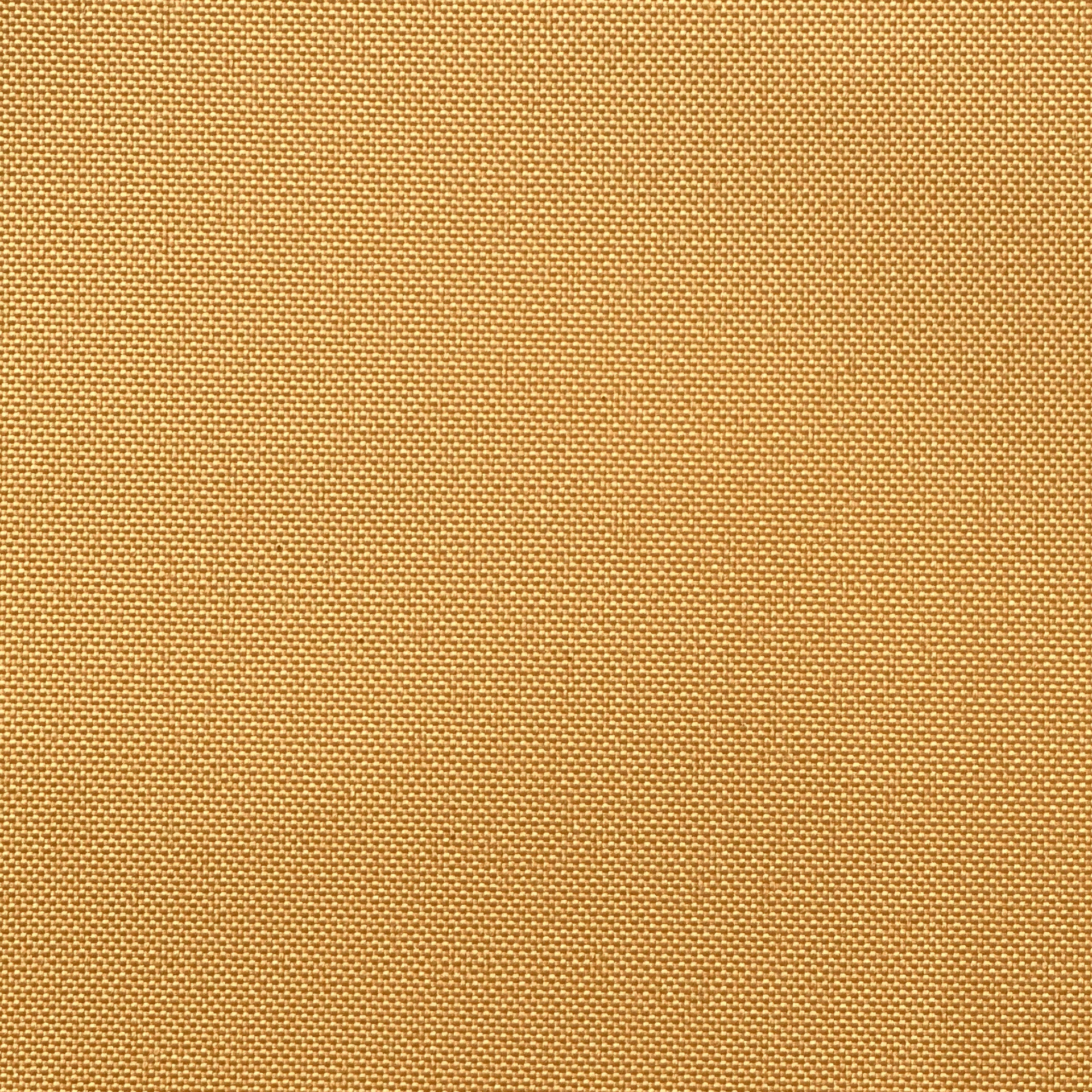 Color:Mustard