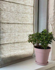Roman Shades in Natural Color
