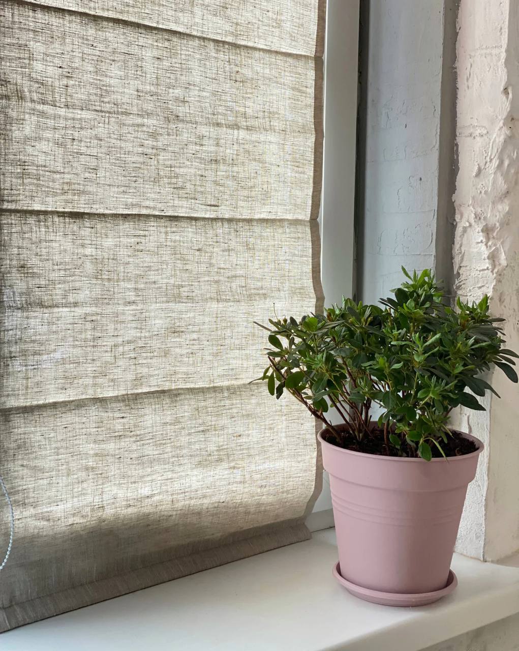 Roman Shades in Natural Color