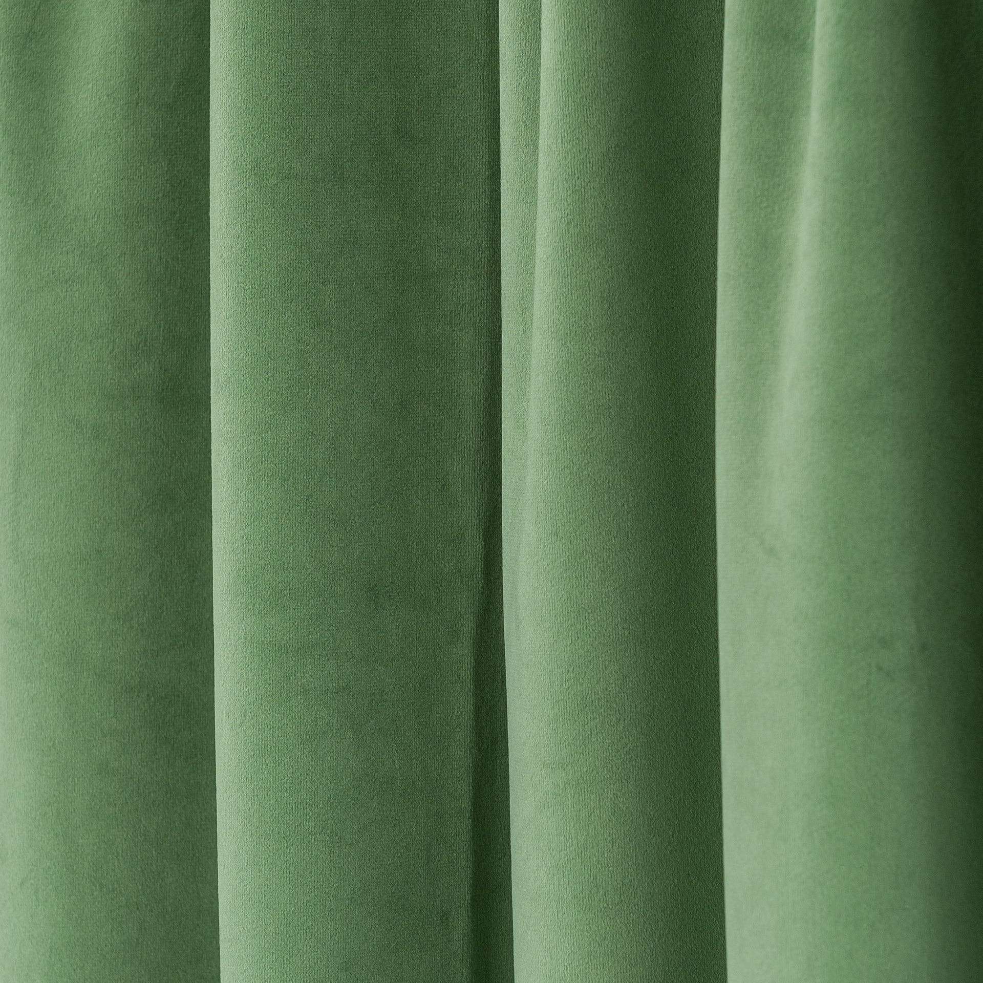 Color: Fern Green